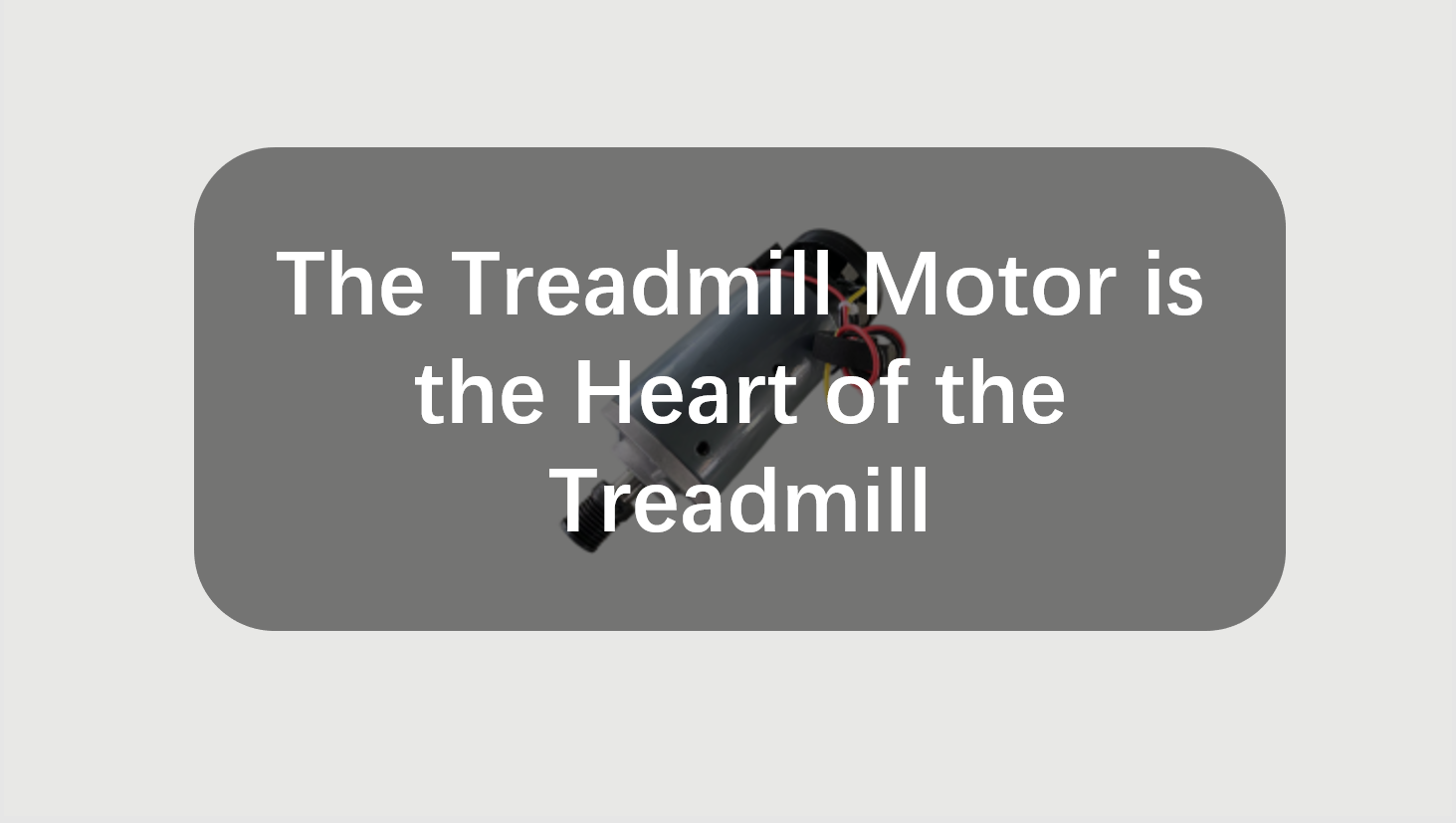 The Treadmill Motor is the Heart of the Treadmill HighQuality Motors from Treadpace